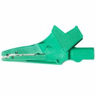 Pince crocodile isolée grande taille verte