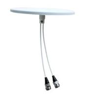 Antenne omnidirectionnelle indoor SlimLine MIMO 2x2 XG-RF®
