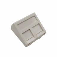 Plastron RJ45 incliné 45x45 2 ports Nu blanc pour embase UPTEC