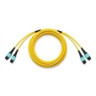 FO Câble 24 f OS2 MTP12M MTP12M B 10, 1m + FanOut A-0, 55/FanOut B-0