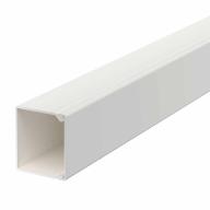 Moulure de distribution Lg 2m 80x170 mm blanc