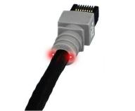 Cordon Patchsee Cat 6 UTP - 3.1m