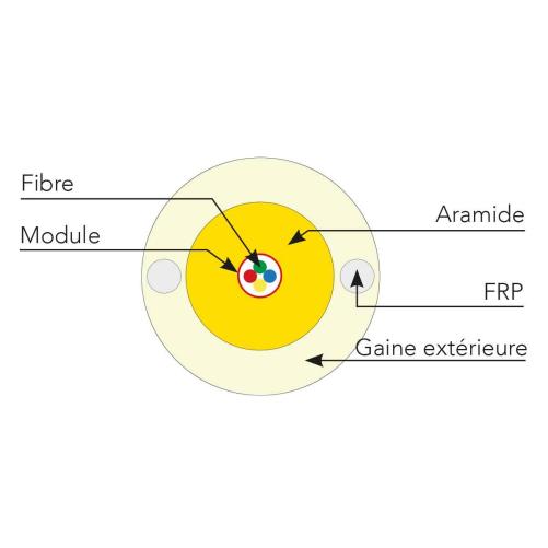 Câble de branchement DROPTIC LM1 - Câble de branchement