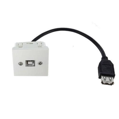 Plastron 45x45 USB2.0 B F vers U - Prise RJ45