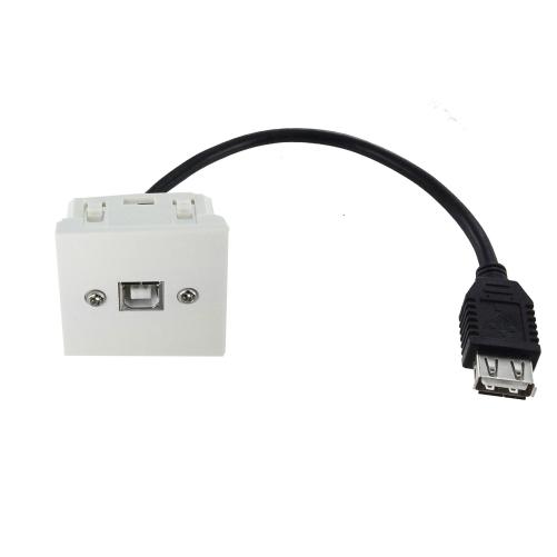 Plastron 45x45 USB2.0 B - Prise RJ45