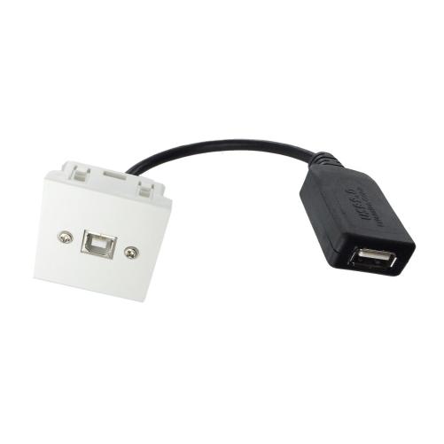Plastron 45x45 USB2.0 B F vers U - Prise RJ45