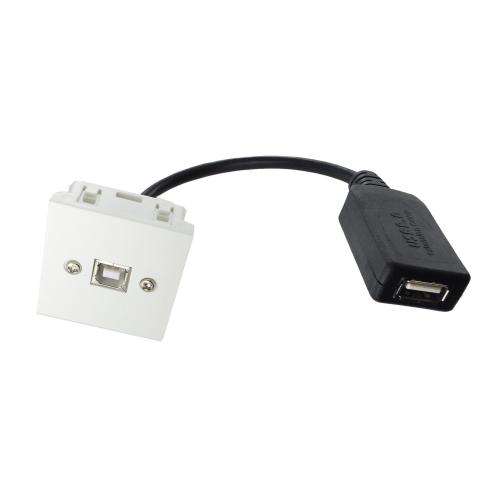 Plastron 45x45 USB2.0 B - Prise RJ45